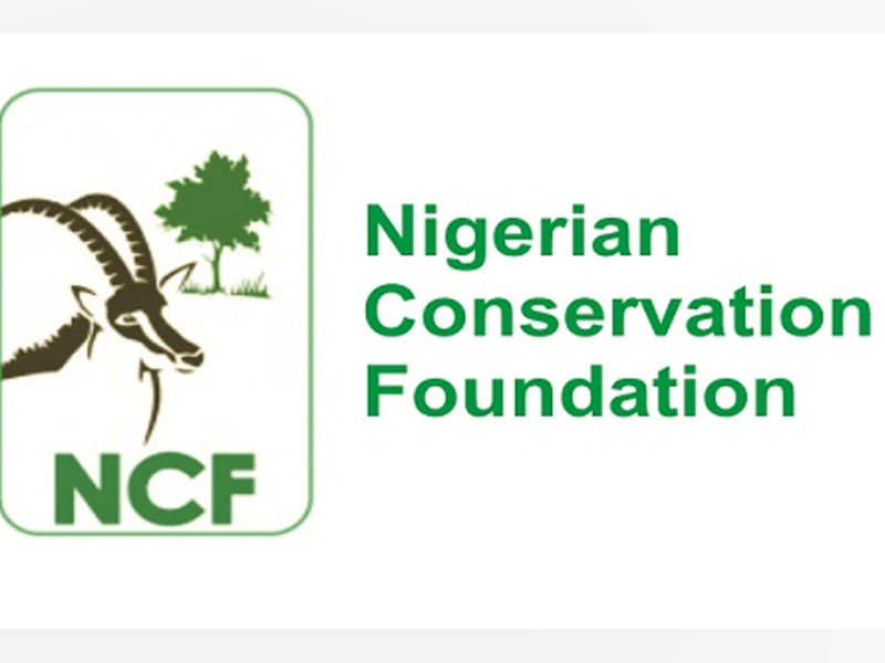 NCF Raises the Alarm over Deforestation, Says Nigeria Lost 90% of Forest Cover in 30 Years 
