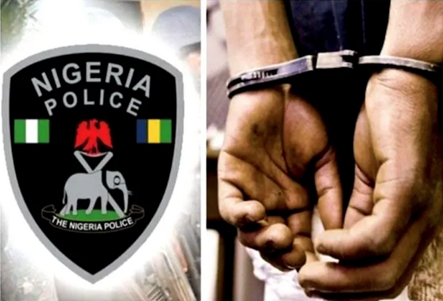 Police Arrest 11 More Suspects over Sexual Assaults in Delta, Obi, NBA, ADC Demand Investigation