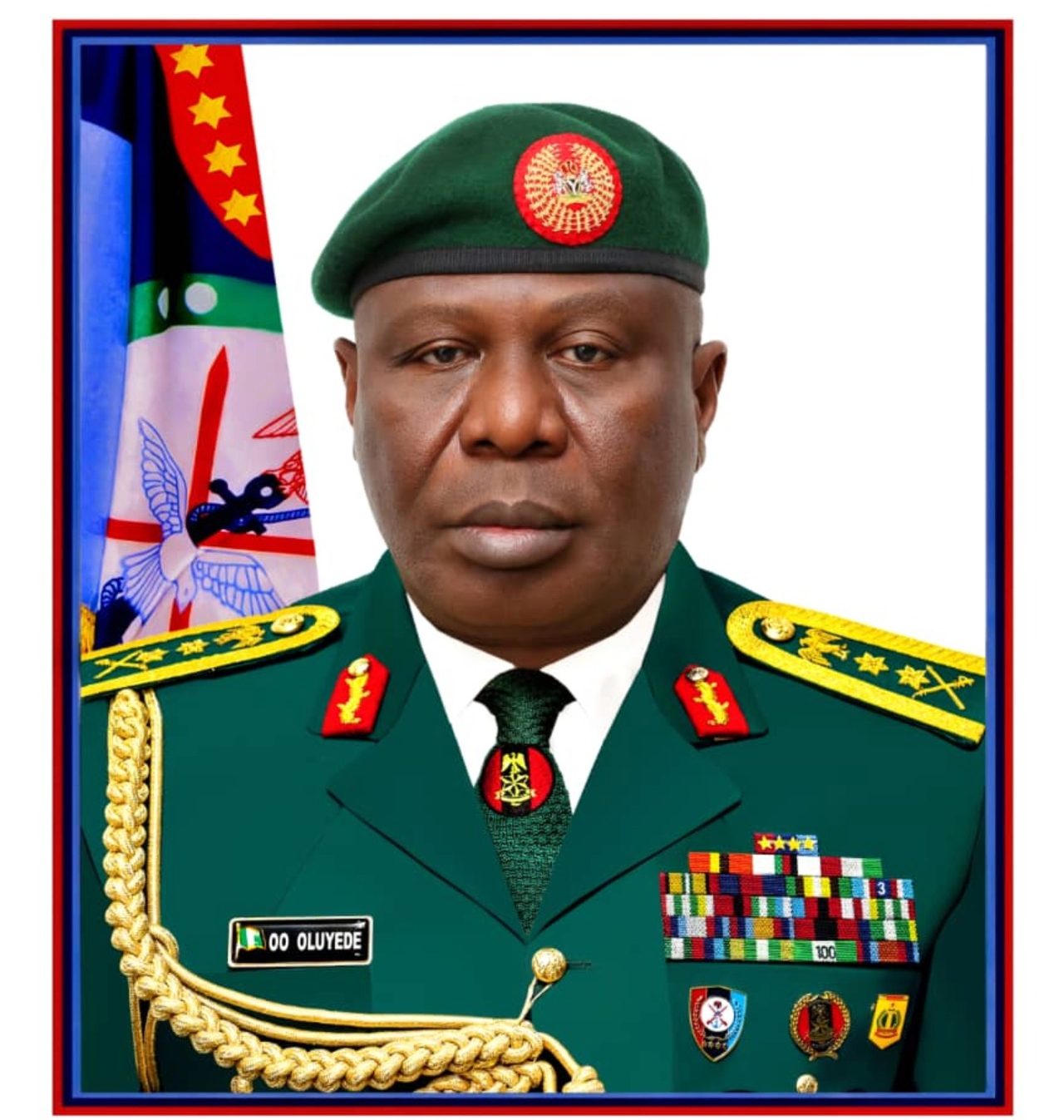 Why bloody terror attacks spiked in one month— Gen. Oluyede, CDS 