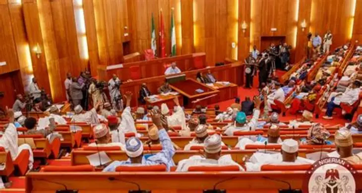 Senate explains delay on dual party membership ban
