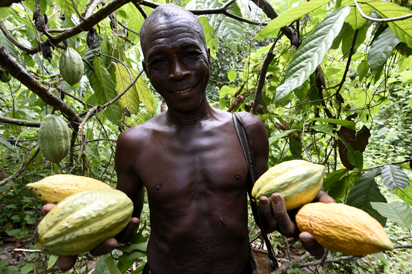 We paid ransom to free abducted cocoa farmers— Association